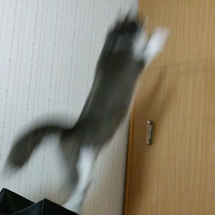 1a8908ad dc0e 4b3a 8ab1 e9fa81dda2d5 1592711232294