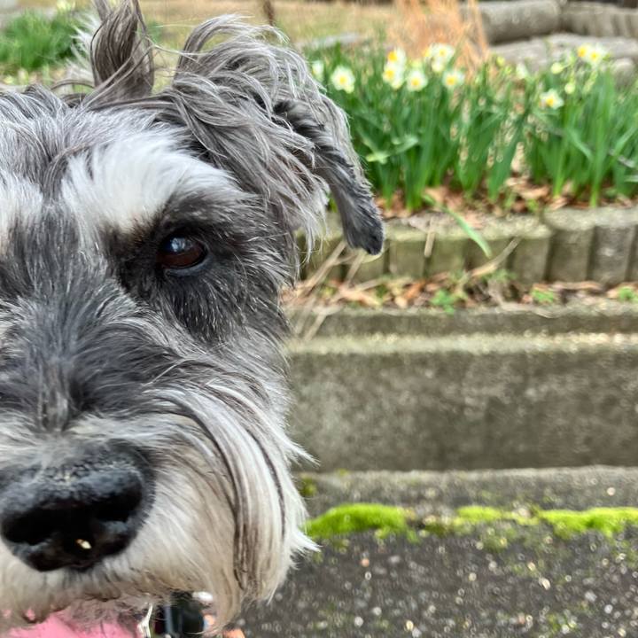 1a890a3d 7a7f 4718 beb6 09ec501d826f 1771811788086