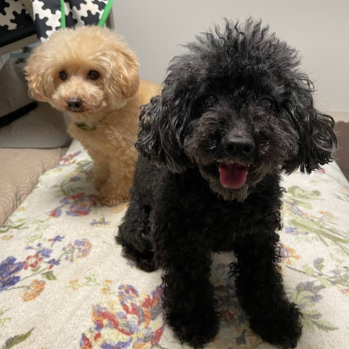 1a891e44 2b8a 49c6 b874 3ea74039f13b 1634079037801