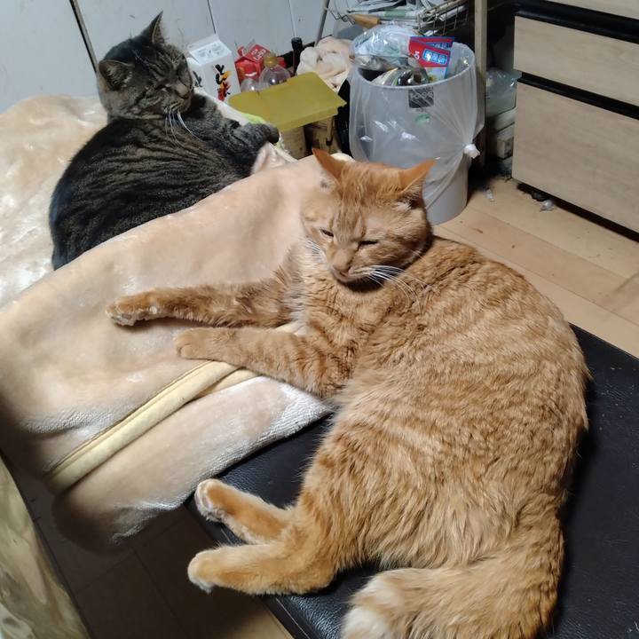 1a892f85 983f 4f44 91b4 d14be12d5320 1703719085065