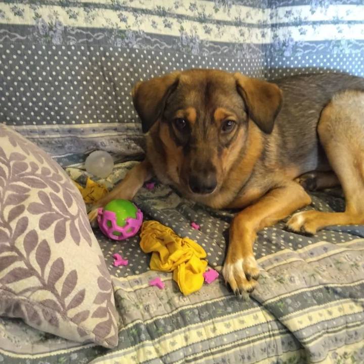 1a893c8f 7748 466f ad4f 360be9622a47 1698730125129