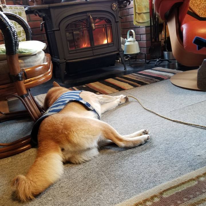 1a897509 ed17 4990 a698 deccf0f7e14f 1578030318523