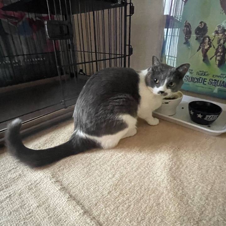 1a897d7b 500c 4757 83db 3b33d340d199 1671668721732