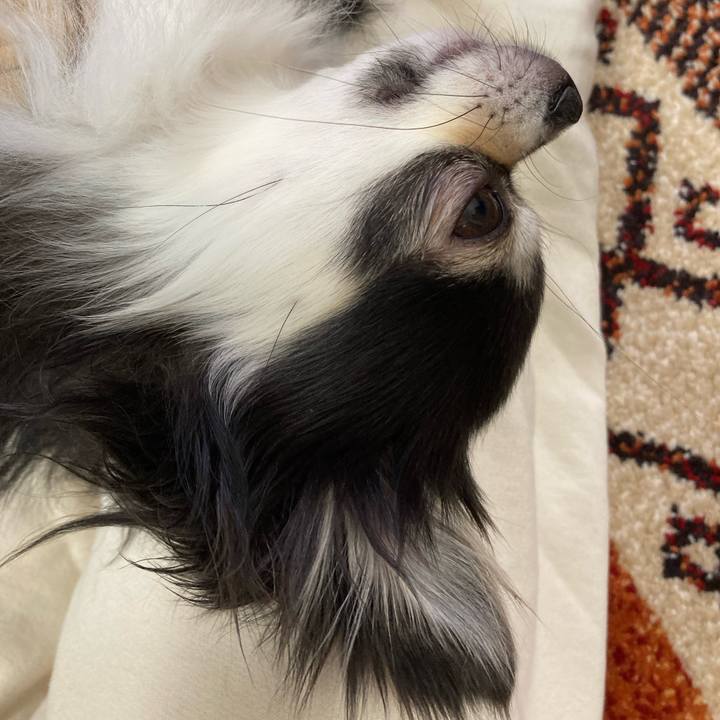 1a898c8d 8d18 487b a866 5e74c6d1a596 1679411531356