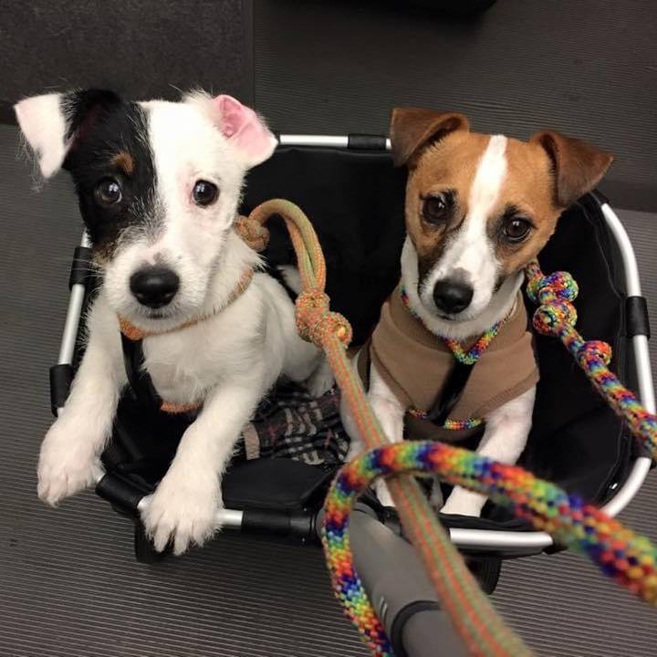 1a8993b8 1296 496e a0a6 c1888a1deb40 1646176129662