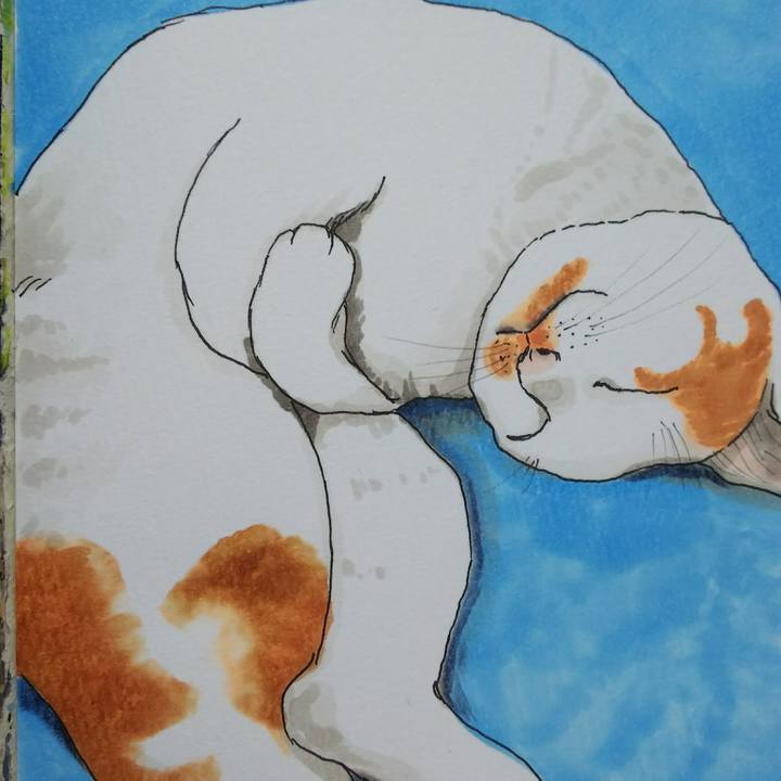 1a89bdc2 e763 4728 9b31 db0d817e1b64 1537768431671