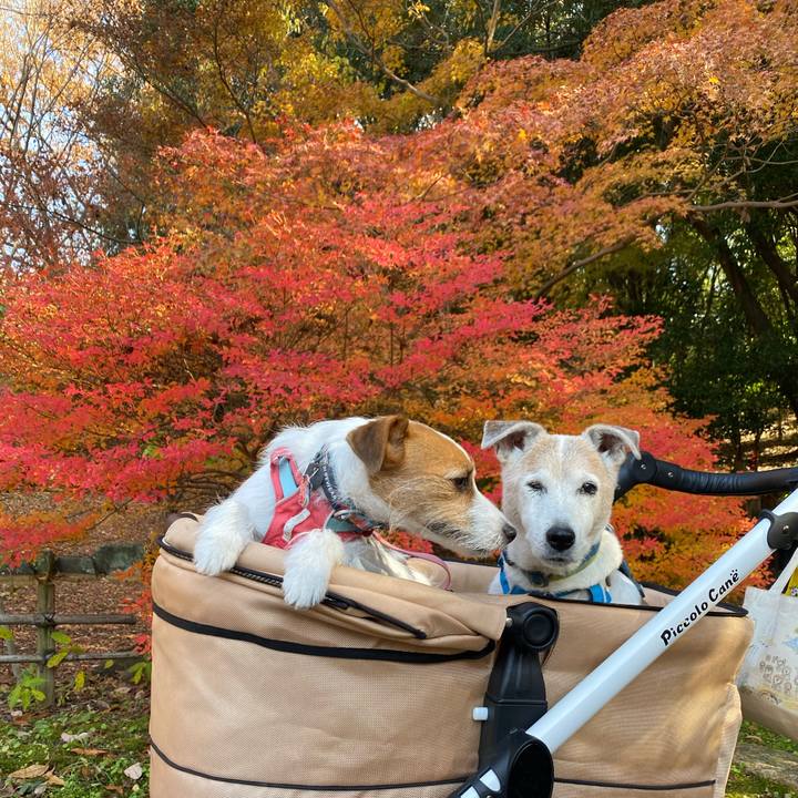 1a89c7cb a992 4363 80cf 9a3ac2363707 1702182060294