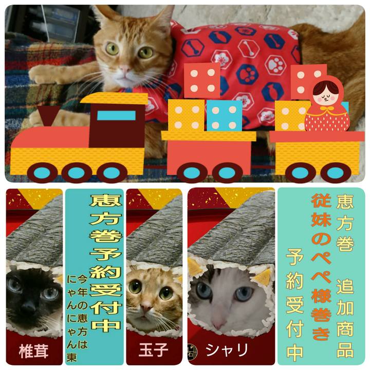 1a8a0582 d9af 4ca2 a0d3 4f511b08718d 1517614477736