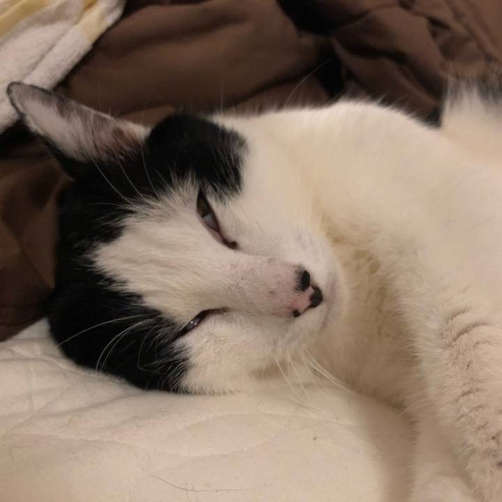 1a8a29df 02c4 4930 bccc 0e1776d3bd7b 1559055013821