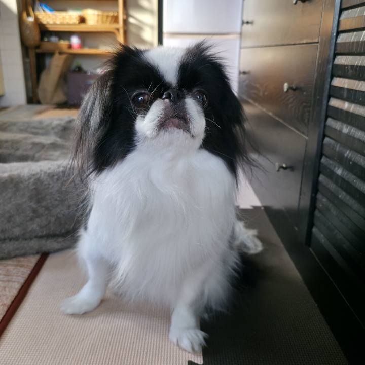 1a8a3d36 93df 48bc 8852 f2d197f7bc7a 1742553494071