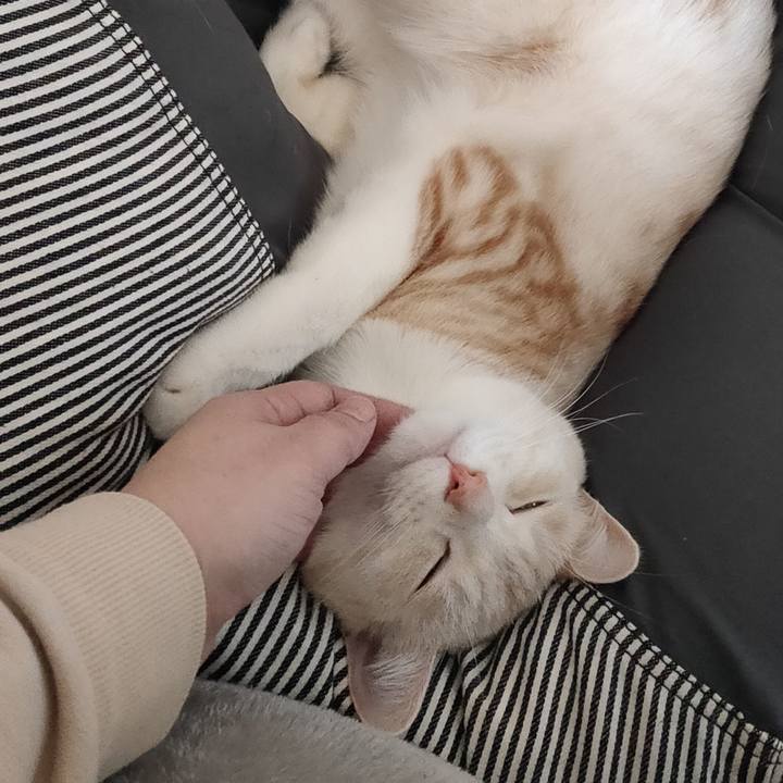 1a8a5ebc 6673 41a3 aee9 a14c6633130d 1678866177292