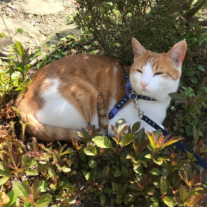 1a8a823b bba4 4fff 8cb1 b87495b80615 1524108737200