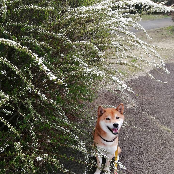 1a8a950e 6217 4c75 963b ce1c58c2bf55 1615876618433