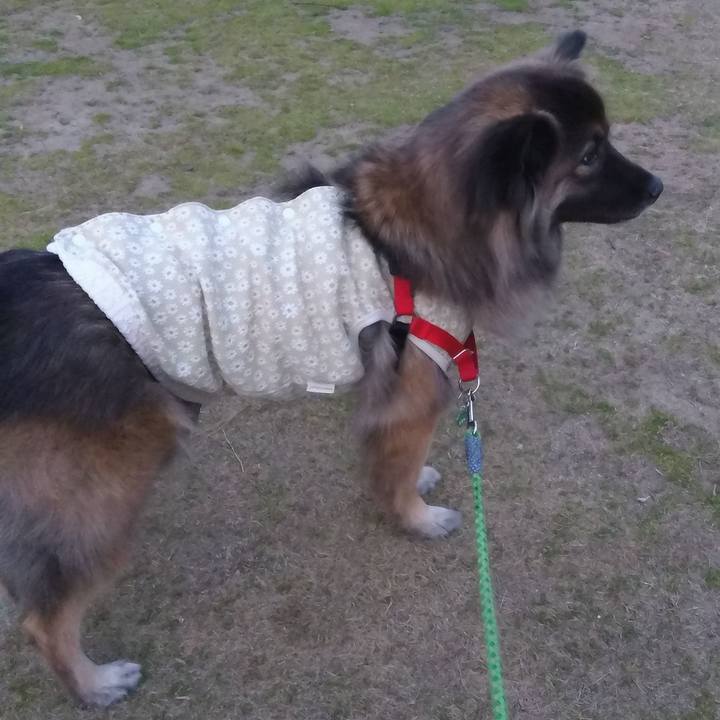 1a8ab201 2bb8 4b5a 956e c051da494c20 1768219223975