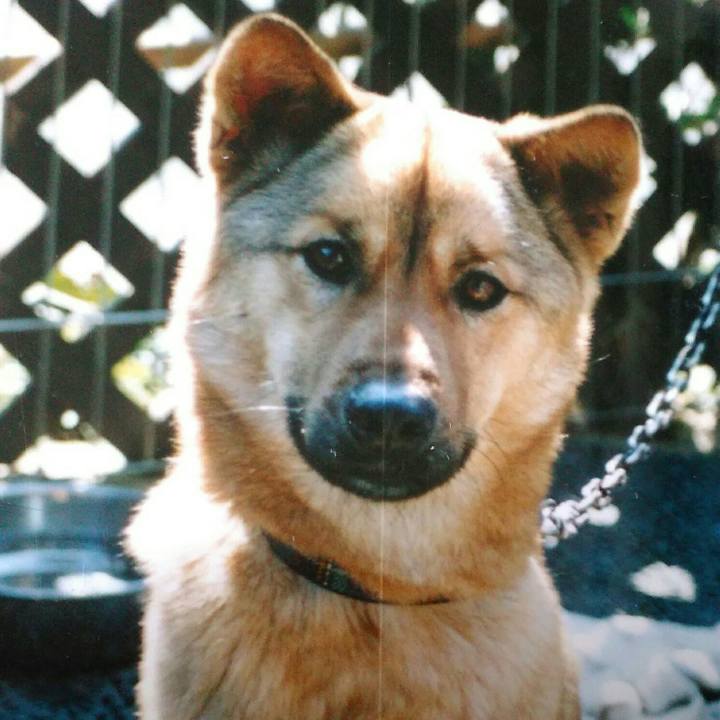 1a8ad184 5c9e 44a2 b40e 7a5c6efe8f0e 1534404493406