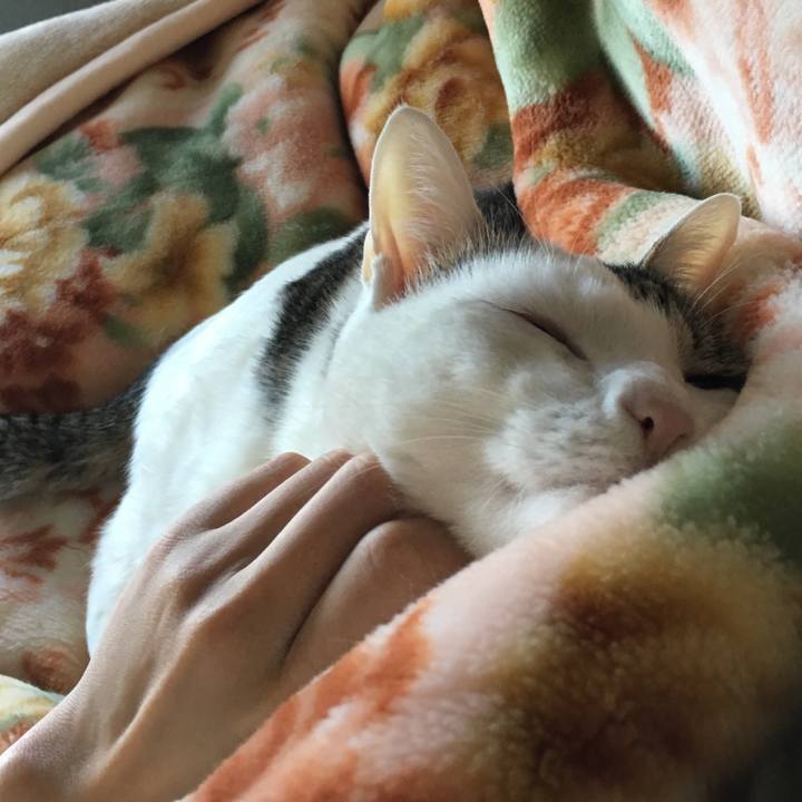 1a8adbde 54c9 4323 900e a265a00c464e 1525485816078