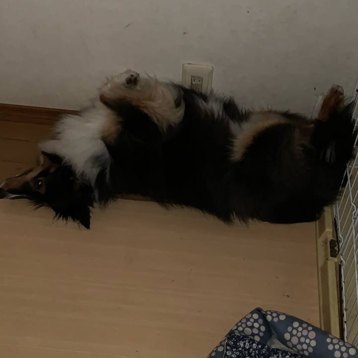 1a8b05ff a688 4cf6 8188 21ca621f3210 1597089969842