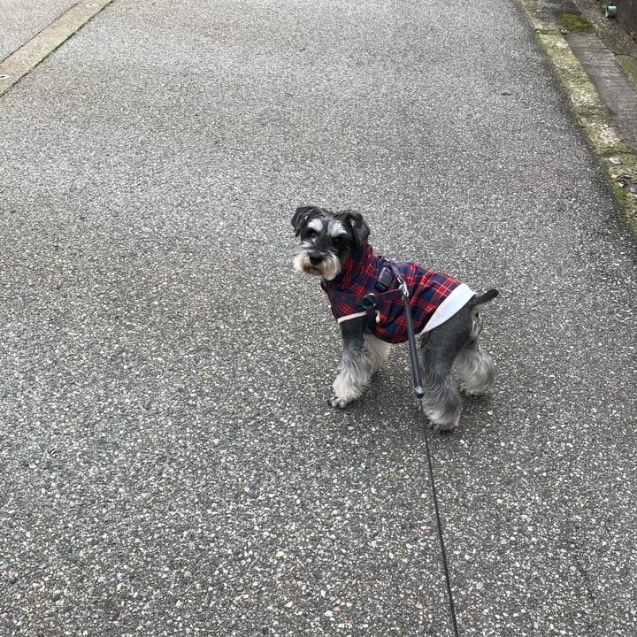 1a8b2d76 12d2 4ce7 a207 0bc1e944085b 1648347214732