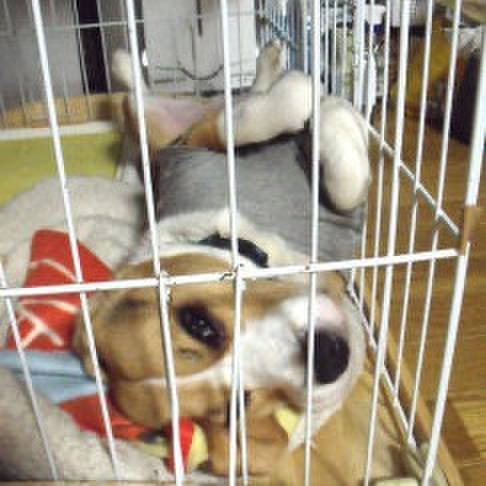 1a8b621c 1d26 482c bb4a 2c7e5f9158a5 1719091524158