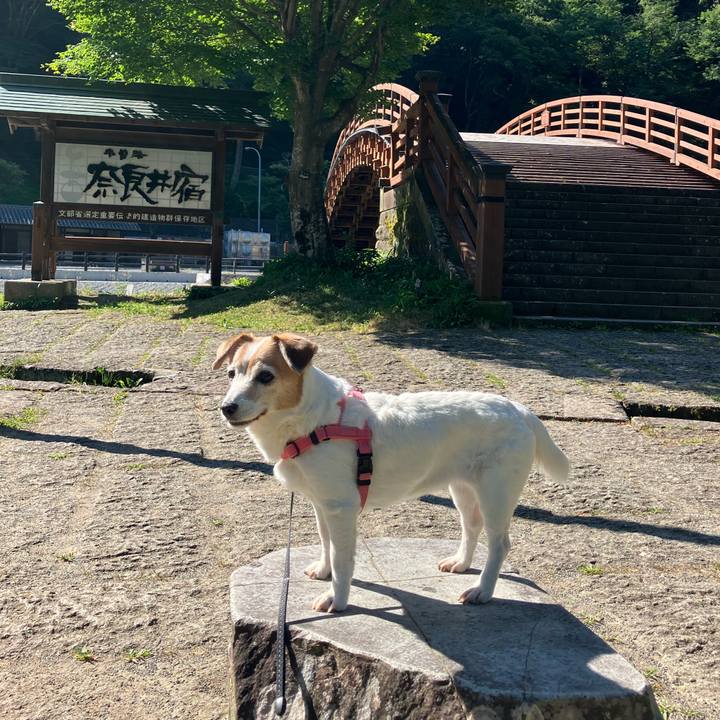 1a8b7fe9 ab9c 44a2 ad48 7574e2d86429 1723723926410