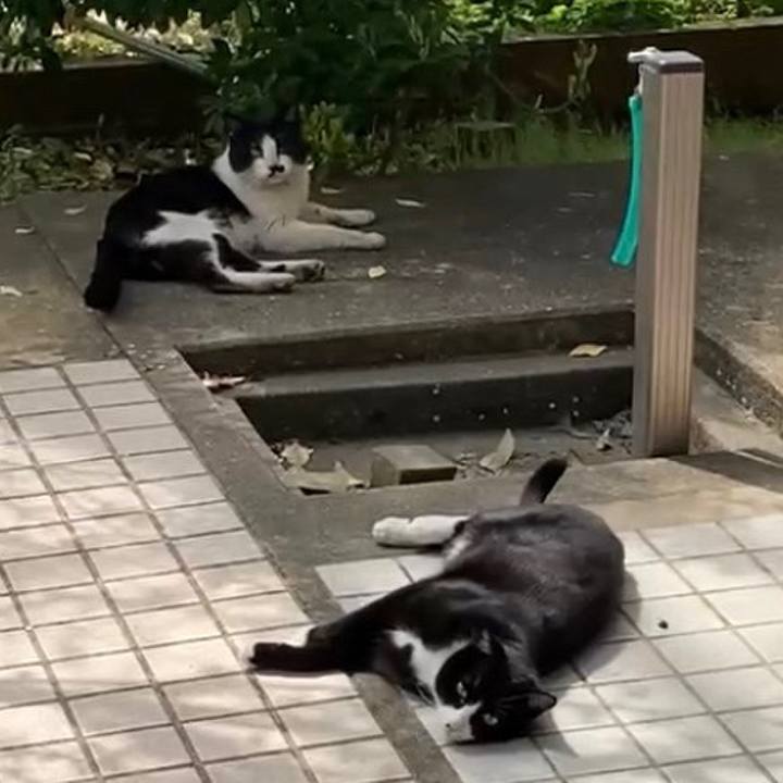 1a8bb8d9 b1a8 463c b9d6 62c48252be05 1772398496445