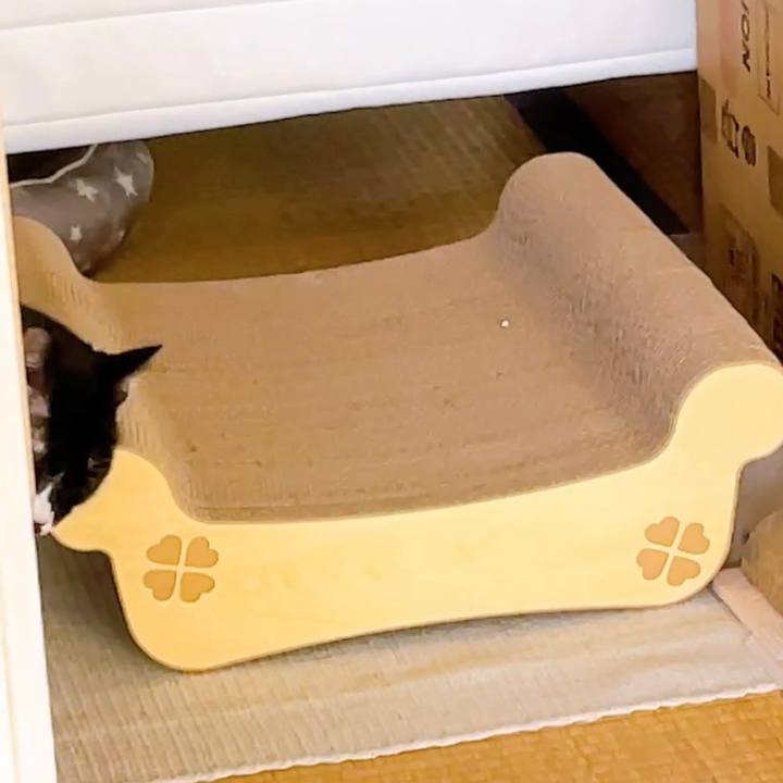 1a8bc9fa b6fa 4a06 a779 d0ff977b36cb 1669591895923