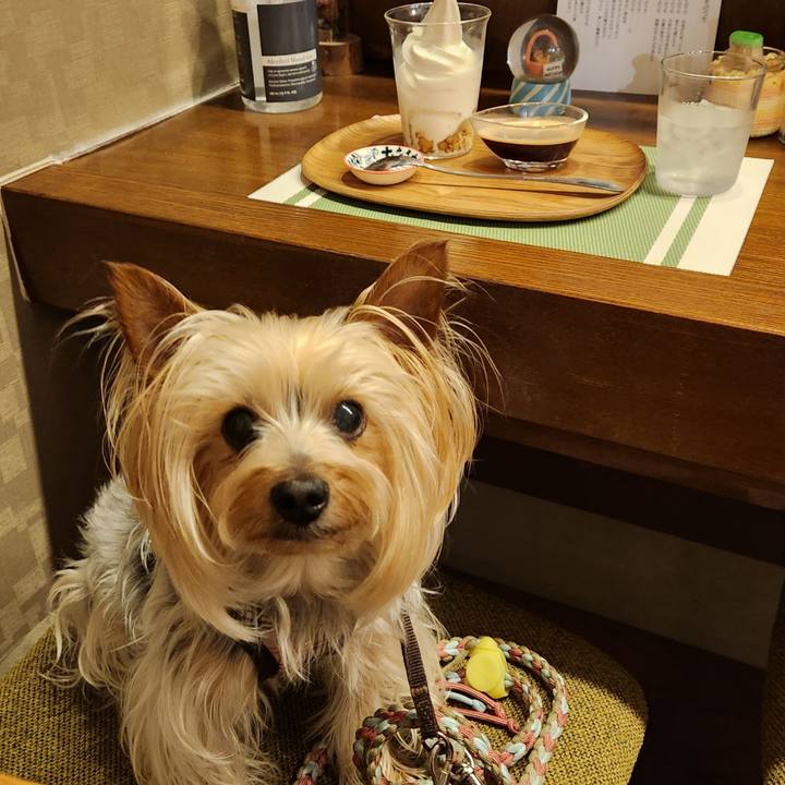 1a8bcd04 66ab 4cbb 85ea 969fbe2f2cce 1717848481642