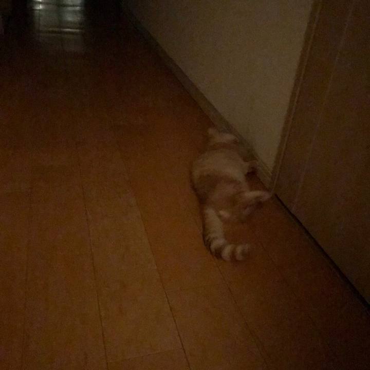 1a8bd283 b9cb 48c5 9059 4db81c3ce38b 1520257136095