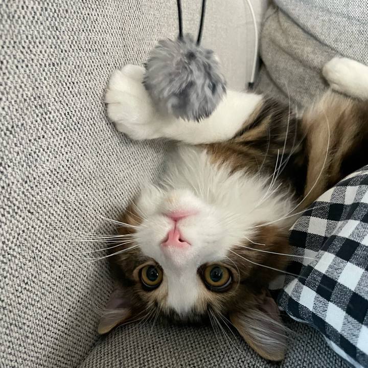 1a8bdef0 7df6 435c 8bca 088162354bf8 1636667318602