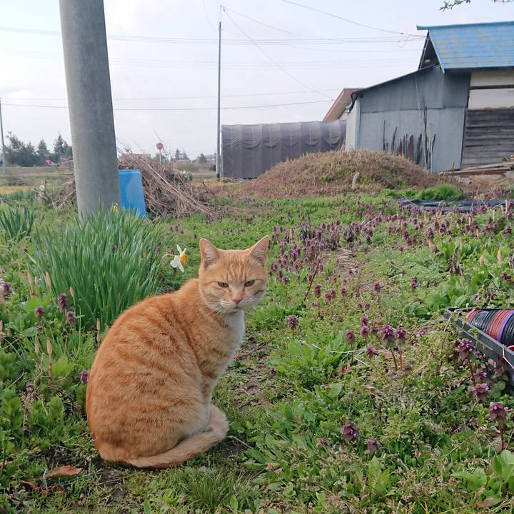 1a8bf948 b0cb 43aa b70c 31d9d5c6f742 1586990340357