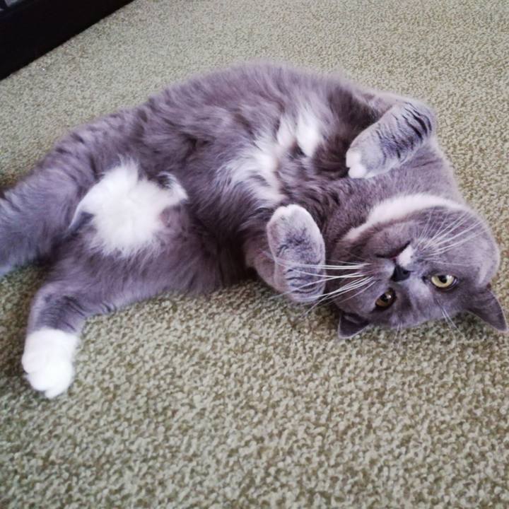 1a8c2623 bd40 4609 b575 ad39bc9e07dc 1703111356136