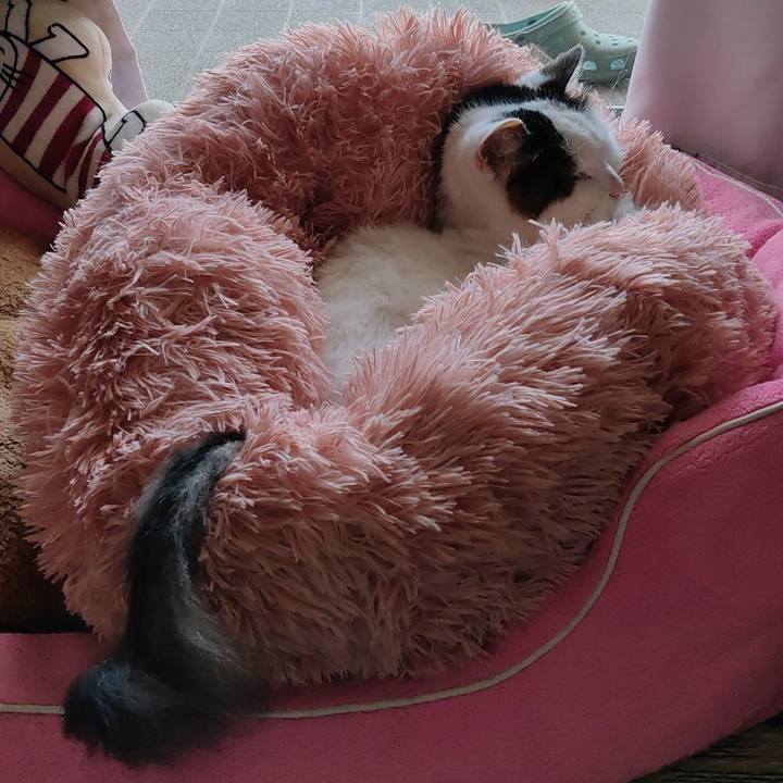 1a8c8c44 b8eb 44e4 93f4 760a03f141e3 1592376898913