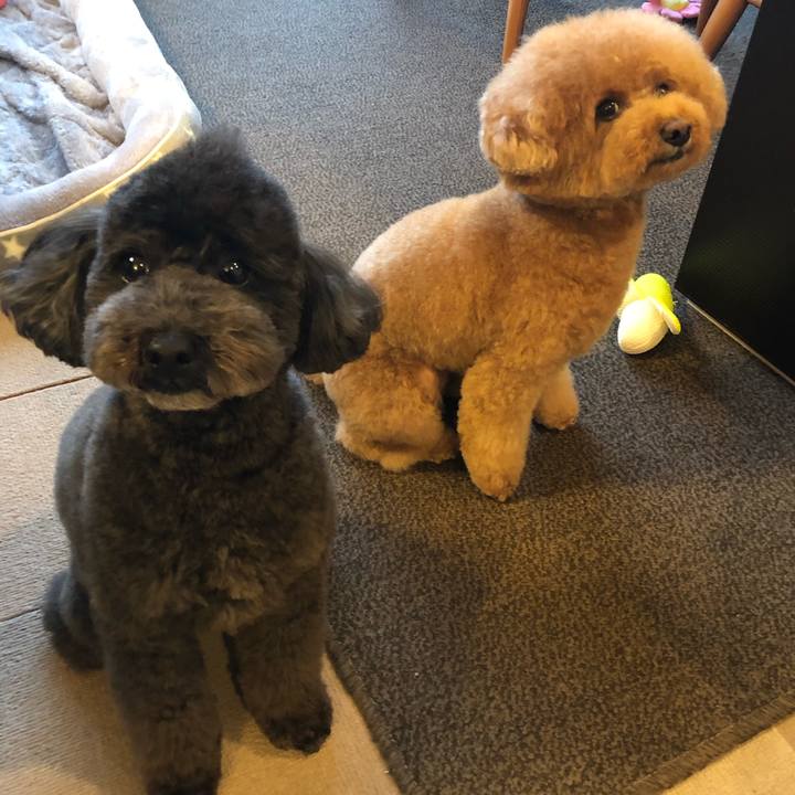 1a8cf301 454a 44eb 8589 75011dea5427 1614336050211