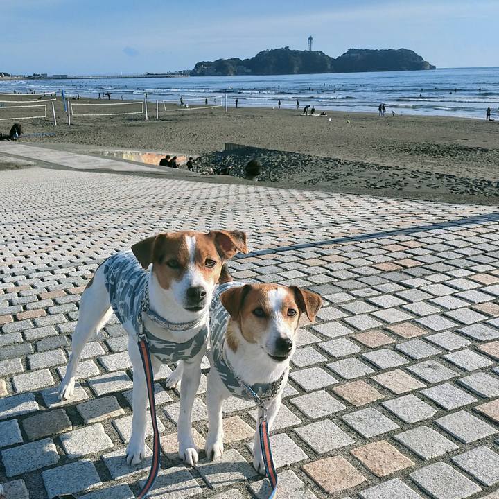 1a8d029f fb91 4baa 94eb 029c17979ee0 1767081099932