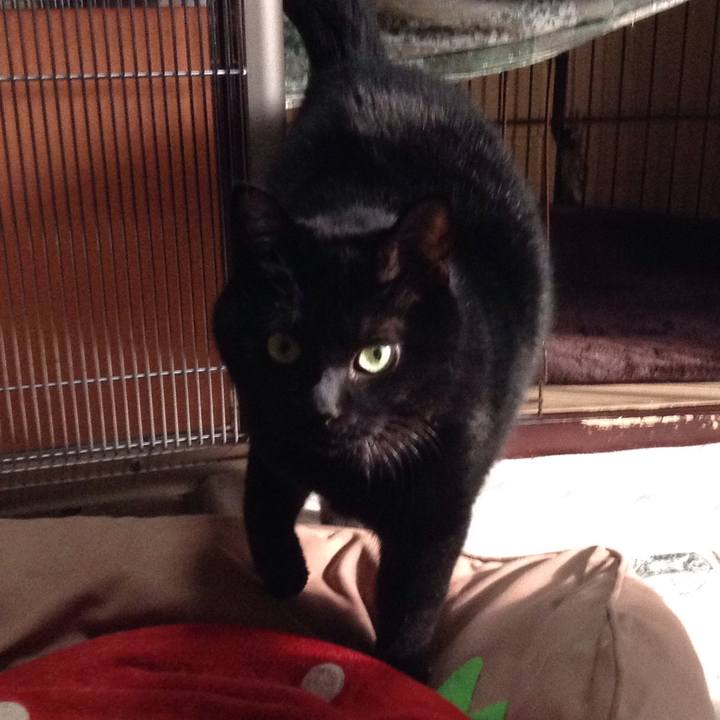 1a8d243b 5e35 450b b3f6 871808c60775 1519798982954