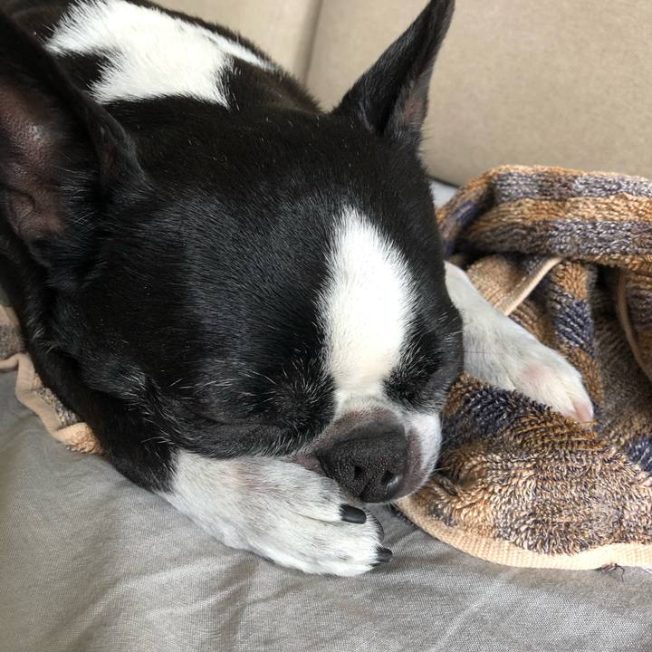 1a8d62b3 9018 440e ad8a 36f30975ba1c 1652146312943