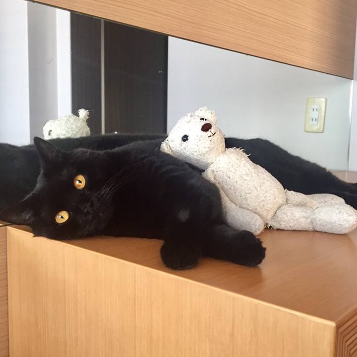 1a8db766 0fa6 438d 81ae 17c3662b444b 1559637132917