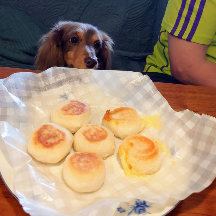 1a8dd294 f843 49d9 98ed b1ac010e9891 1719029676906