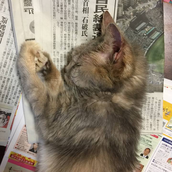 1a8df215 5bd6 4041 a879 d62d27c2a43d 1534854162302