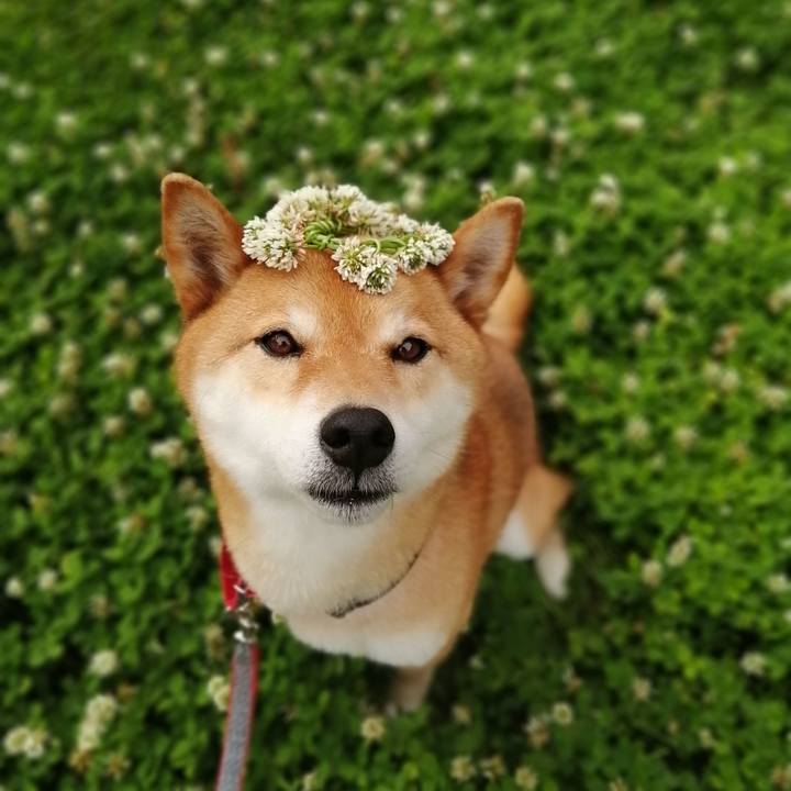 1a8e02fa 1728 4f15 b704 996847bfa5f9 1589538751454