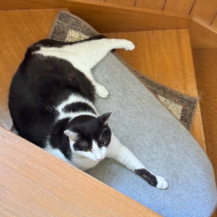 1a8e103a 26d8 4038 9cef f7118e9902d3 1753924567654