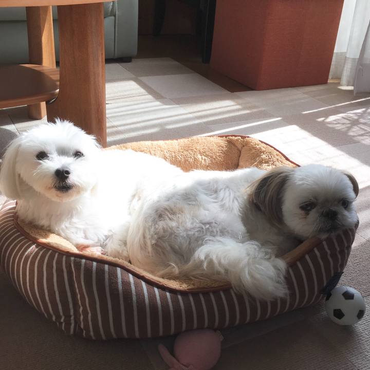 1a8e2c5e 61d6 4d31 8eaf 71cf32cb429d 1540122412578