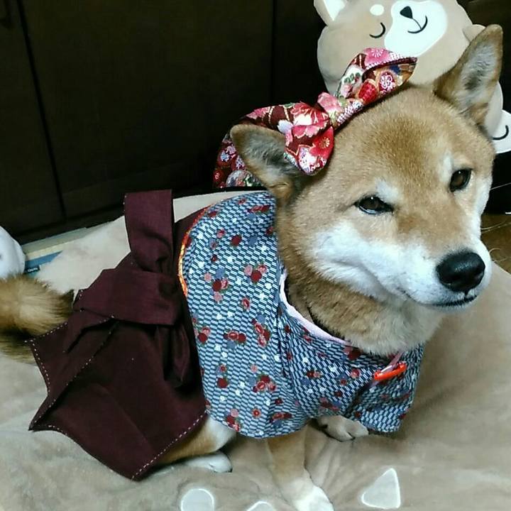 1a8e3d5b aa40 4d82 888c 79134d038812 1547801466544