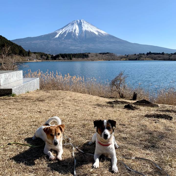 1a8e70c2 9682 42fc 809f 2f77faf81b96 1612596197810