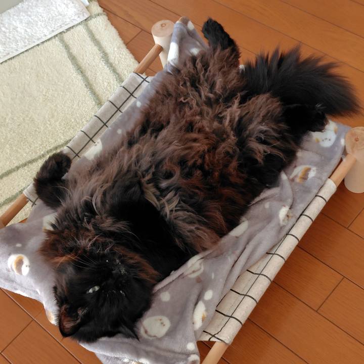 1a8ef667 c397 450c aa83 270cd11ce4a7 1765150580343