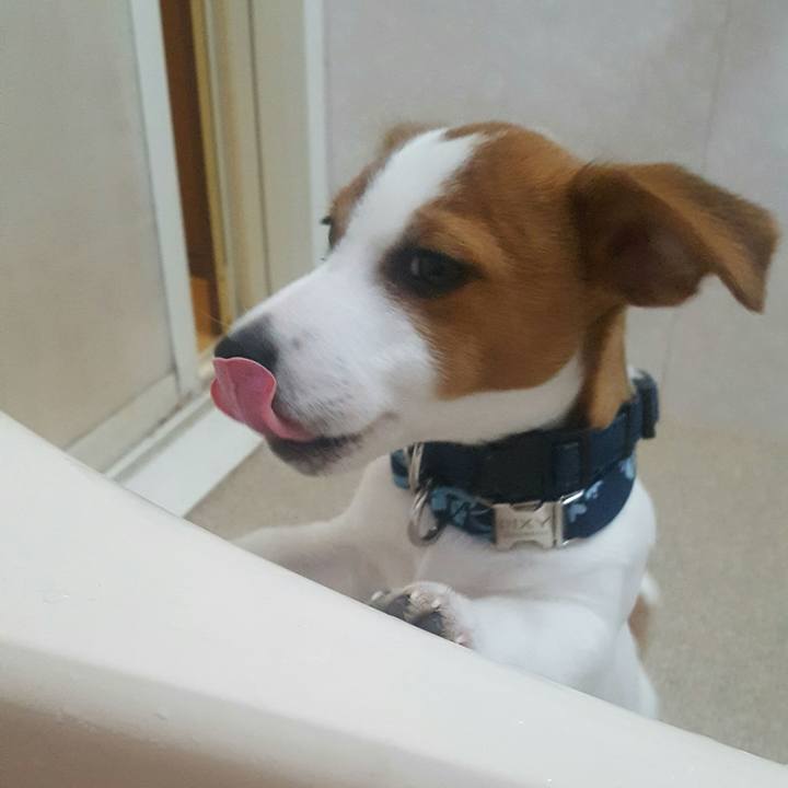 1a8f1025 c8c2 48ac a61b df0b866b1818 1551419297703