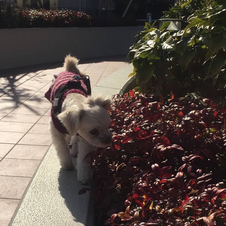 1a8f3b92 2666 4eec b8b9 944f5d4c86e2 1520672143054