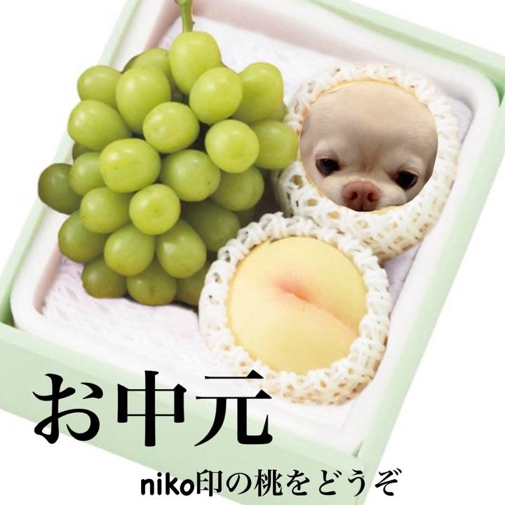 1a8f6721 68ca 4508 936f 5d0015734ea0 1720432051788