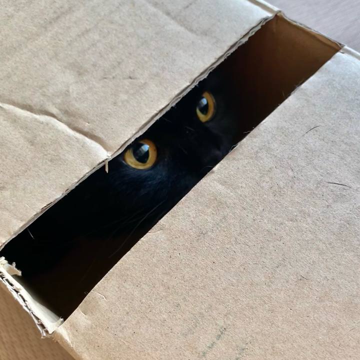 1a8f77a3 ae0f 4cb7 9a2b 960e0a616778 1697526816269