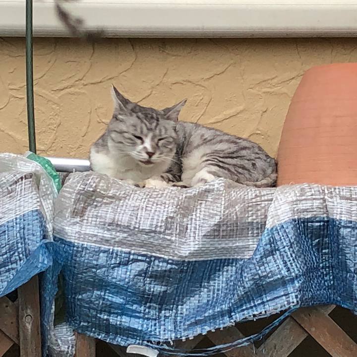 1a8f8e4d ba45 4c1c a54a f817bb84edeb 1534673346381